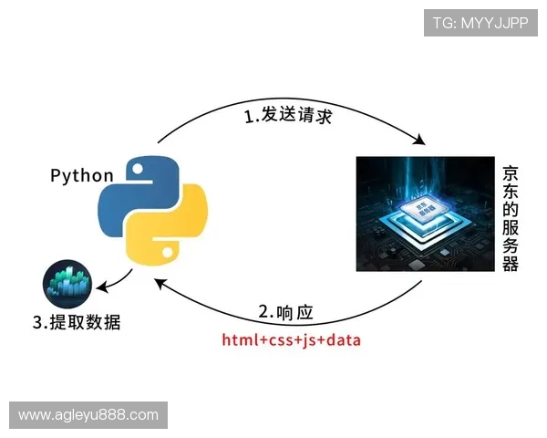 乐鱼官方平台登录失败常见原因及应对技巧全面指南