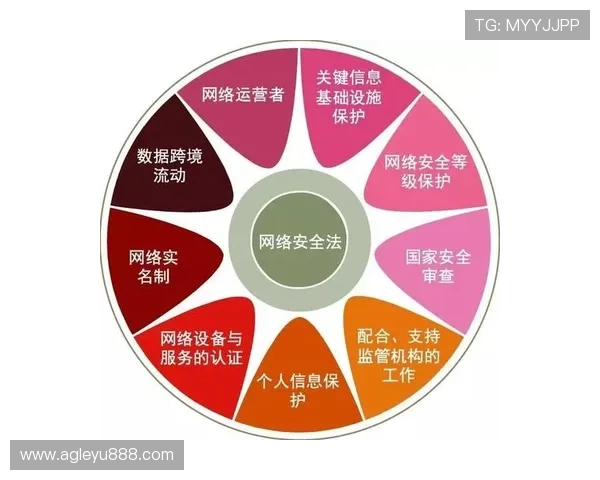 乐鱼官方登录入口安全验证措施介绍，保障玩家账号信息安全与隐私保护