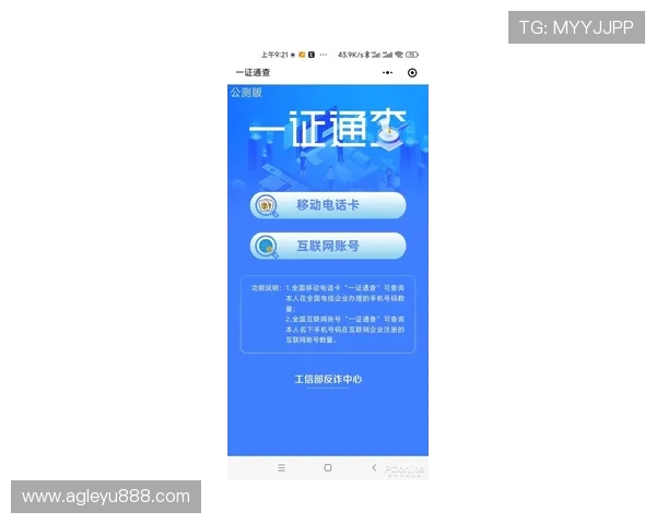 乐鱼平台官网登录网址安全登录指南，保障玩家账号安全与顺畅游戏体验
