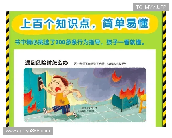 乐鱼手机版网站安全可靠登录指南，保障你的游戏账号安全与隐私