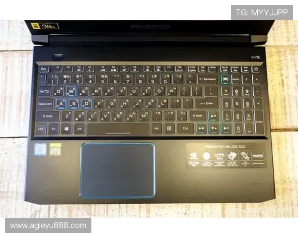 乐鱼电竞登录流程详解及常见问题解决方案，助你轻松畅玩电竞游戏