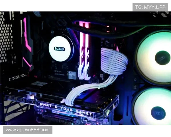 乐鱼网官方客户端下载入口，安全无病毒保障让你放心畅玩每一款游戏