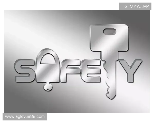 乐鱼网页版在线登录安全保障措施，确保玩家信息隐私全面保护